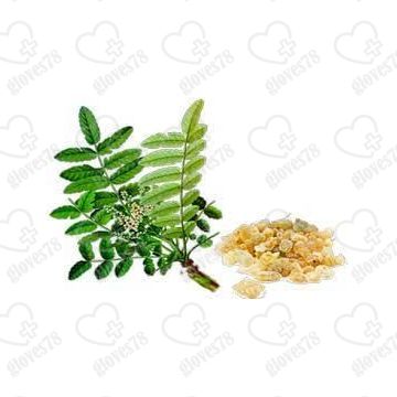 Босвелия пильчатая Экстракт (сухой порошок) 25 кг Босвелия пильчатая Экстракт (сухой порошок) 25 кг