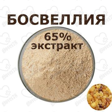 Босвелия пильчатая Экстракт (сухой порошок) 25 кг Босвелия пильчатая Экстракт (сухой порошок) 25 кг