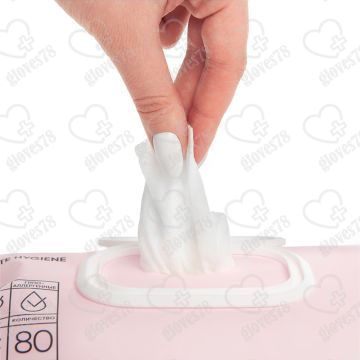 Влажные салфетки для интимной гигиены Beside 25х23см с каланхоэ, 80 штук Влажные салфетки для интимной гигиены Beside 25х23см с каланхоэ, 80 штук