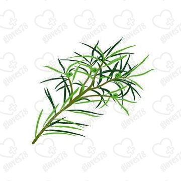 Согревающая и Охлаждающая мазь Конский бальзам Refit Pferdebalsam (230 мл)