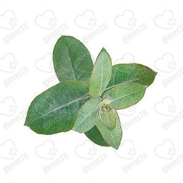 Согревающая и Охлаждающая мазь Конский бальзам Refit Pferdebalsam (230 мл)