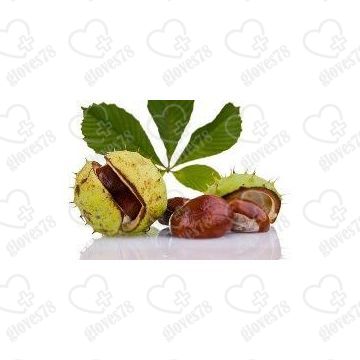 Согревающая и Охлаждающая мазь Конский бальзам Refit Pferdebalsam (230 мл)