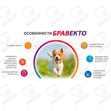 Бравекто (Bravecto) 4.5- 10 кг, таблетка 250 мг